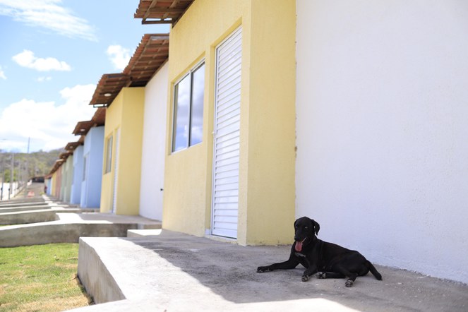 Cachorro deita em frente a uma das casas do Conjunto Habitacional Dr. Isnaldo Bulhões Barros. Crédito:Marcelo Camará/Ministério das Cidades.