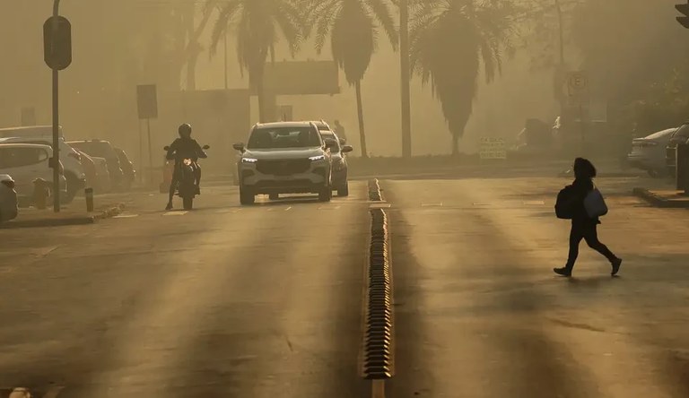 Você tem alguma sugestão sobre como podemos nos adaptar às mudanças climáticas?