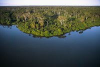 Edital para projetos de revitalização de bacias hidrográficas tem prazo de inscrição prorrogado