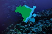 Estudo financiado pelo MDR avalia riscos de derramamento de óleo em atividades econômicas na Amazônia Azul