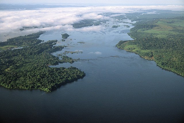 Tocantins Faquini