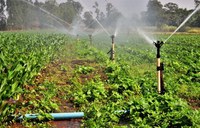 Governo Federal realiza roadshow para apresentar Projeto Hidroagrícola Jequitaí (MG)