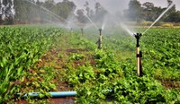 MDR estreita discussões sobre agricultura irrigada com representantes de Israel