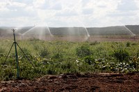 Ministério do Desenvolvimento Regional lança estudo sobre análise territorial para a agricultura irrigada no Brasil