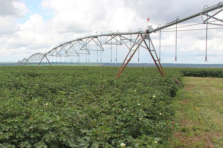 Agricultura irrigada