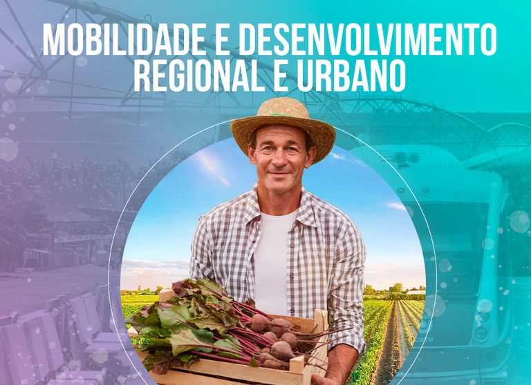 Rota do Cacau auxilia produtores do Pará e da Bahia a expandirem produção agrícola