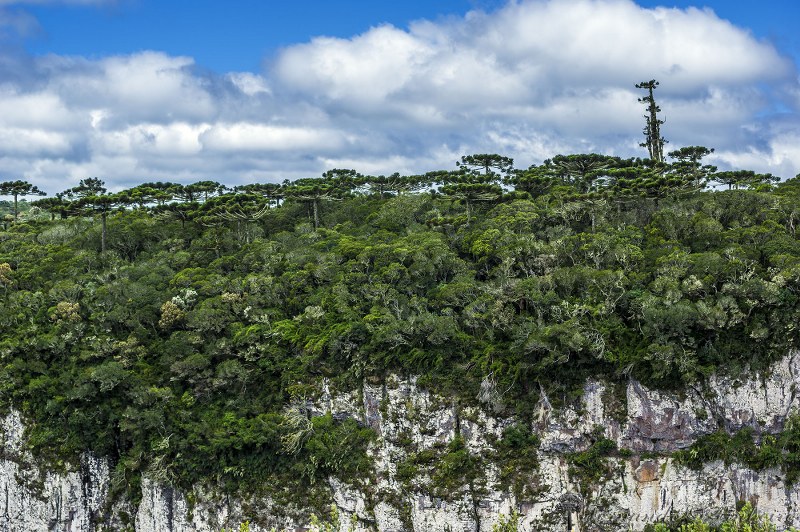 Aparados da Serra - Canions do Sul