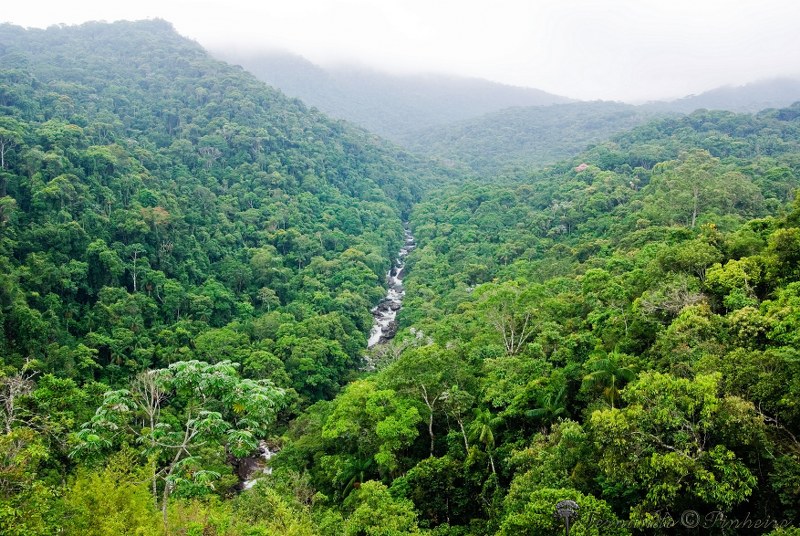 Parque Nacional do Itatiaia RJ