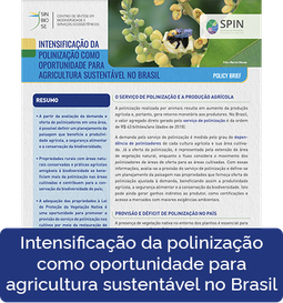 Intensificação da polinização como oportunidade para agricultura sustentável no Brasil