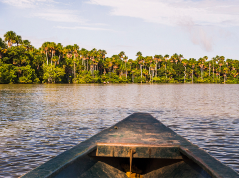 Iniciativa Amazônia+10