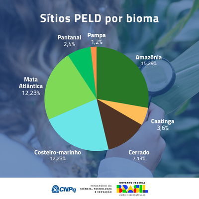 Graficos PELD_20241210_191627_0000.png