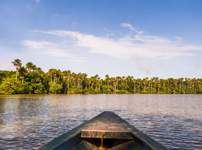 Iniciativa Amazônia+10 divulga resultados preliminares da chamada Expedições Científicas