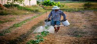 CNS pede que parlamentares derrubem veto presidencial que impede acesso de agricultores a benefícios emergenciais