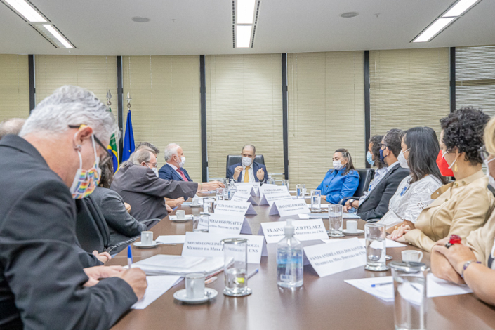 Reunião para denunciar Violações dos Direitos à Vida e à Saúde no contexto da pandemia da covid-19 no Brasil.jpg