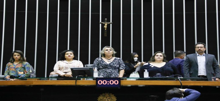 Conselho Nacional de Saúde participa de sessão solene pelo fim dos manicômios