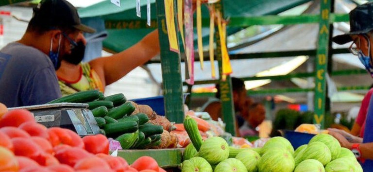 17ª CNS: Live do Conselho Nacional de Saúde vai debater alimentação e nutrição na saúde