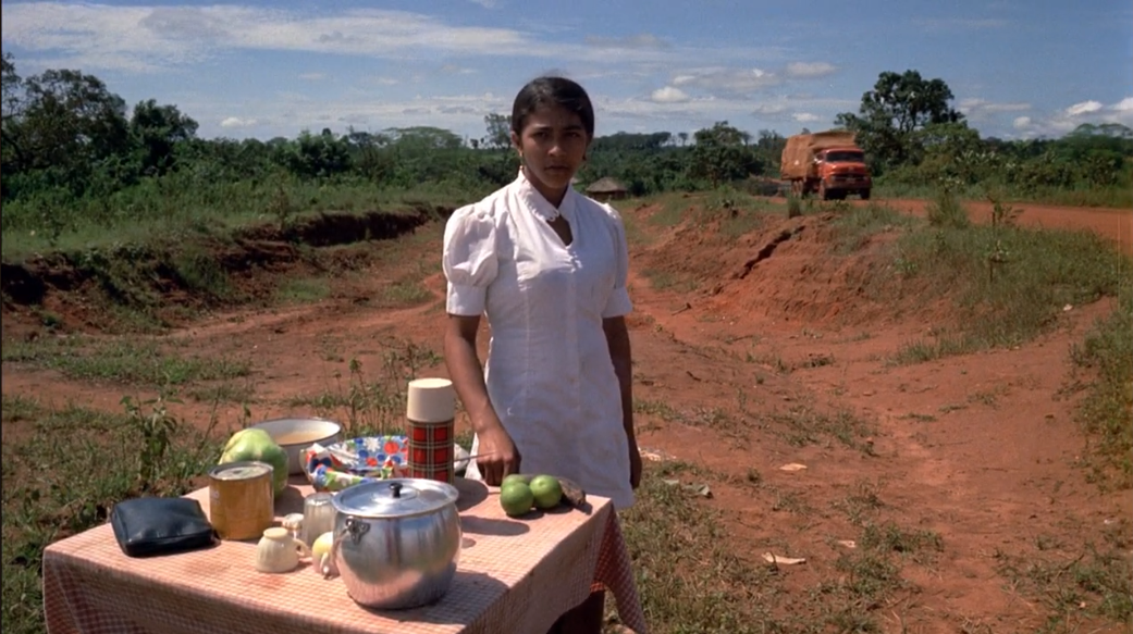 Rodovia Belém-Brasília (1973, dir. Zelito Viana)