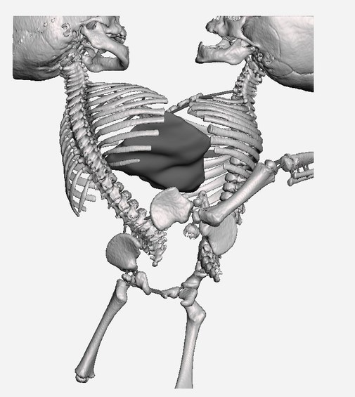 Biomodelo 3D computacional