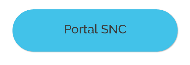 PORTAL SNC