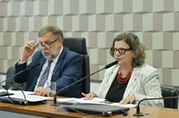 Marco Regulatório do Fomento à Cultura é aprovado na Comissão de Educação e Cultura