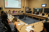 Políticas inclusivas são debatidas na primeira reunião do Comitê de Gênero, Raça e Diversidade do MinC