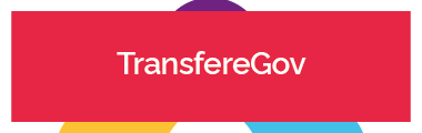 TRANSFEREGOV