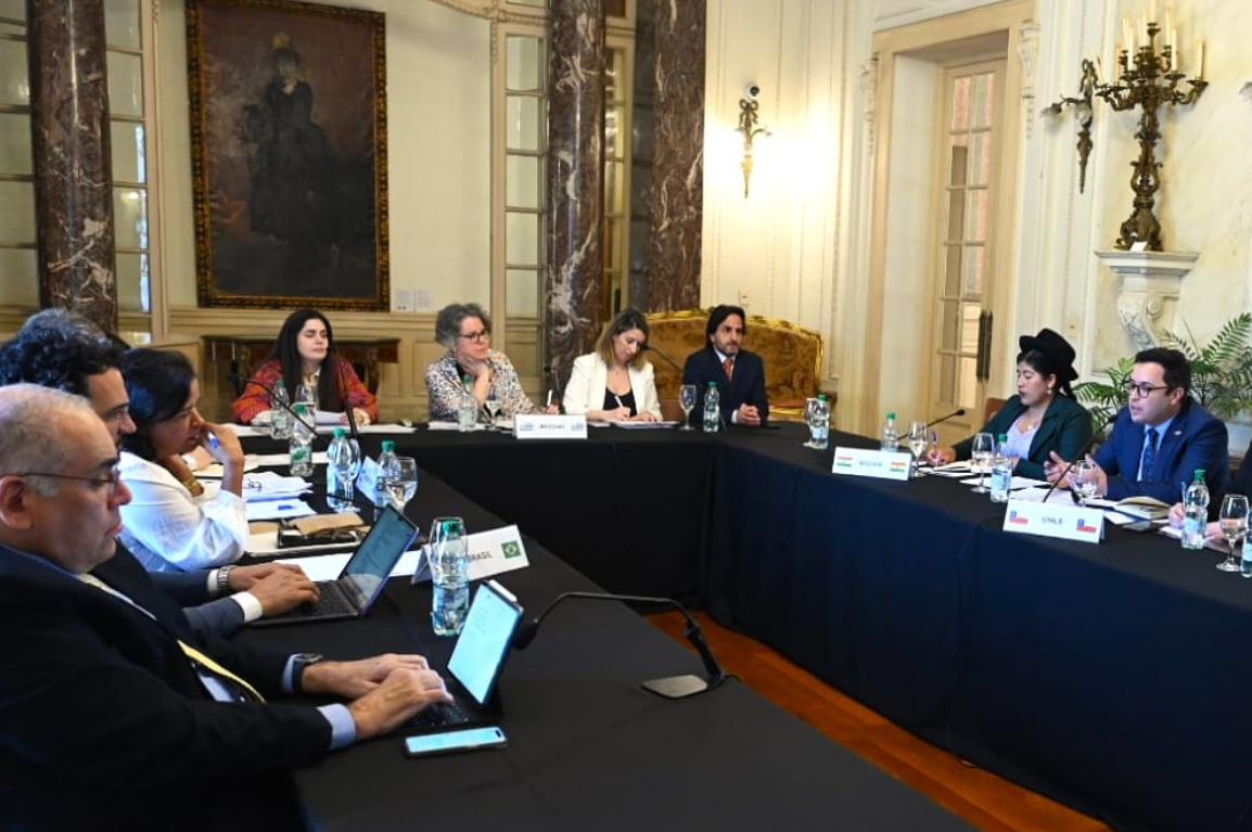 Márcia Rollemberg, secretária de Cidadania e Diversidade Cultural, apresentou as ações do Brasil neste tema