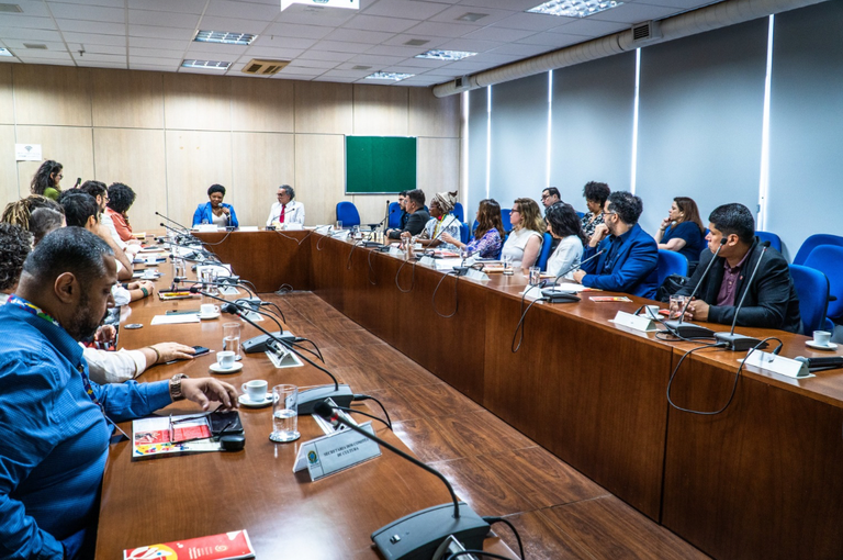 Primeira reunião do colegiado ocorreu nesta terça-feira (12) com a participação da ministra Margareth Menezes