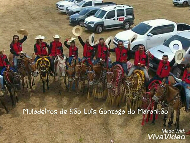 MA_São Luís Gonzaga do Maranhão - Grupo de Cavalgada Muladeiros de São Luis Gonzaga.jpg