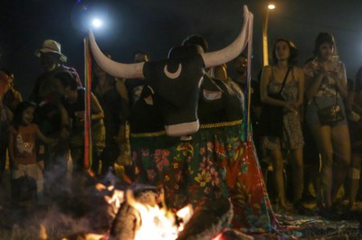 PE_Recife - Coletivo Artístico Ecopedagógico Boi da Mata.jpeg