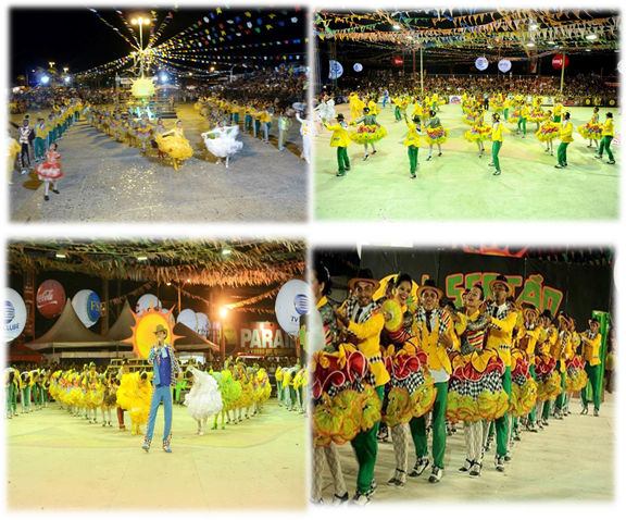 PI_Barras - Associação Folclórica e Cultural Mandacaru do Sertão.png