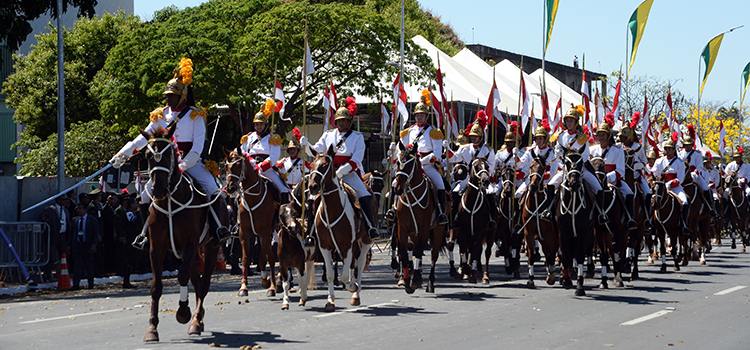 O desfile hipomóvel com 220 cavalos promete encantar adultos e crianças