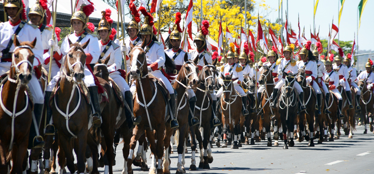 O grupamento com 220 cavalos ornamentados vão passar pela Esplanada em Brasília (DF)