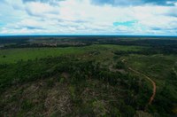 Ação contra desmatamento ilegal em Rondônia é divulgada pela Operação Verde Brasil 2