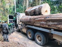 Comandos Conjuntos unem esforços no combate a ilícitos ambientais