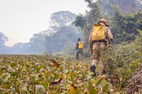 Combate a incêndios é ampliado no Pantanal