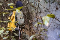 Combate a incêndios no Pantanal: Forças Armadas prestam apoio ao bioma