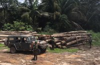 Desativação de seis garimpos e madeira ilegal confiscada são resultados de atuação conjunta