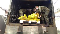 Famílias de baixa renda recebem alimentos transportados por militares