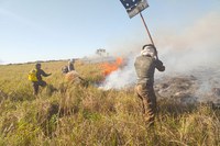 Forças Armadas reforçam combate a incêndio em Cáceres (MT) e distribuem cestas básicas no Pará
