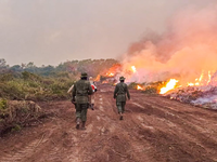 Forças Armadas reforçam o combate a focos de incêndio no Pantanal