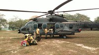 Forças Armadas somam esforços com bombeiros e brigadistas no combate a incêndios no Pantanal