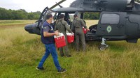 Forças Armadas transferiram mais de 600 pacientes de Manaus para outros estados
