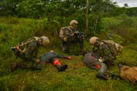 Forças Especiais participam de treinamento conjunto inédito em ambiente de selva