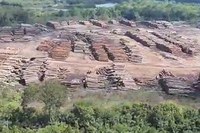 Militares apoiam verificação de apreensão histórica de madeira realizada na Amazônia