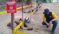 Militares brasileiros capacitam desminadores na Colômbia