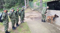 Militares brasileiros capacitam tropa colombiana em Técnica de Desminado Canino