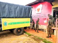 Militares das Forças Armadas distribuem cestas básicas no Acre e apreendem madeira no Pará