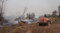 Militares estão concentrados no combate a incêndios em MT e MS