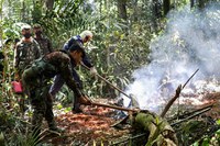 Operação Verde Brasil 2 combate incêndio na Serra dos Carajás (PA)